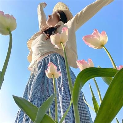 怪物史瑞克5